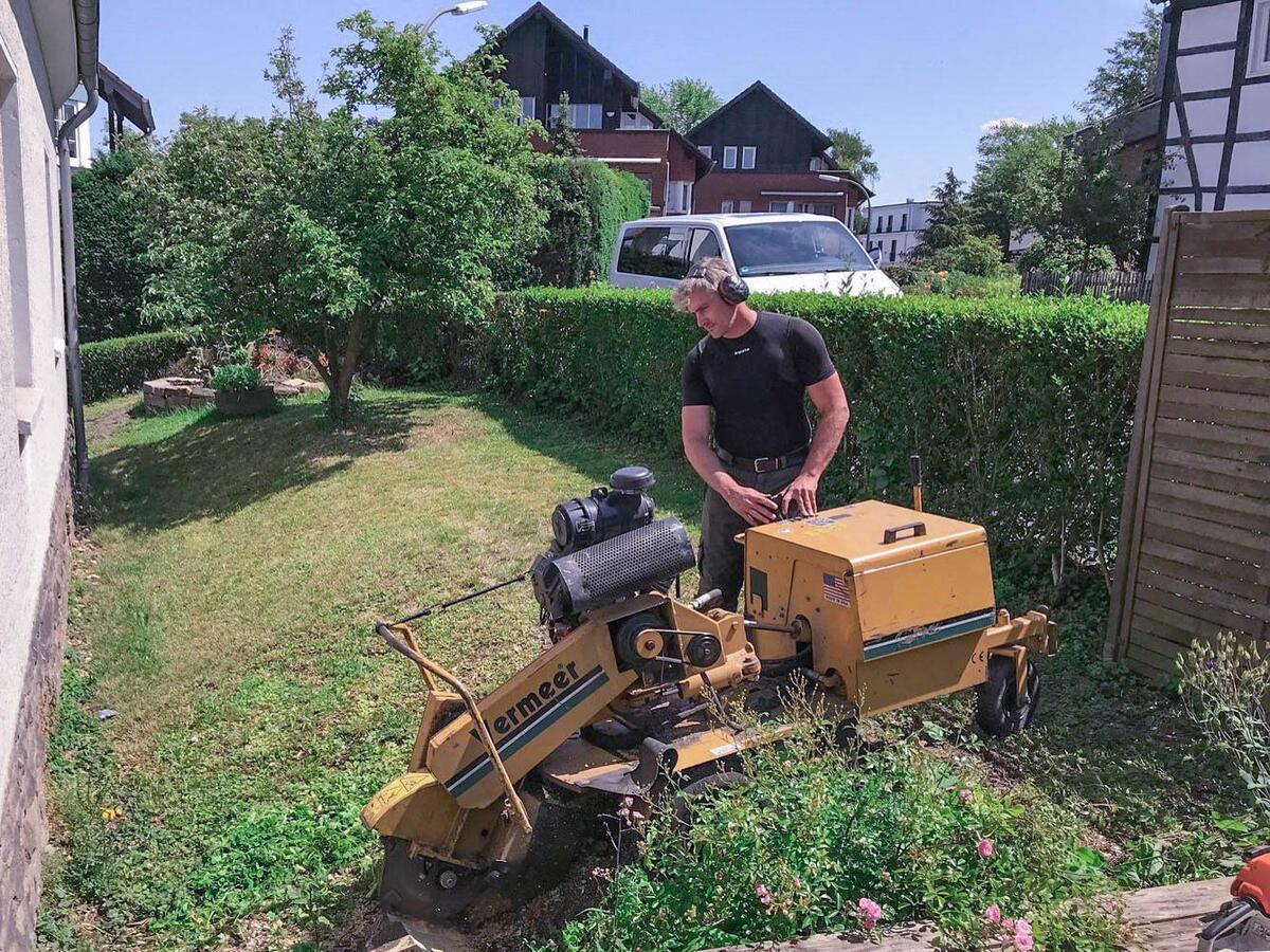 Baumpflege Einsatz