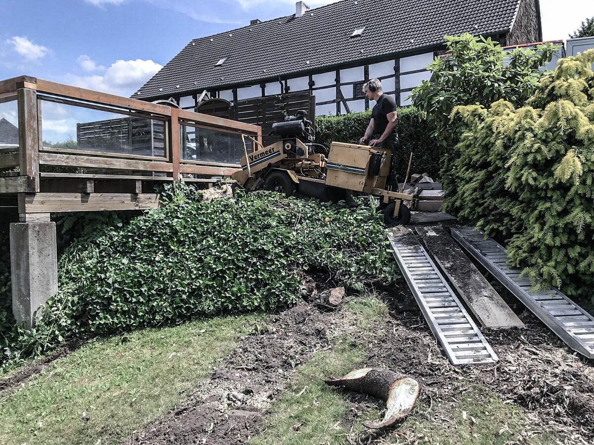 Kontrollierte Fällung