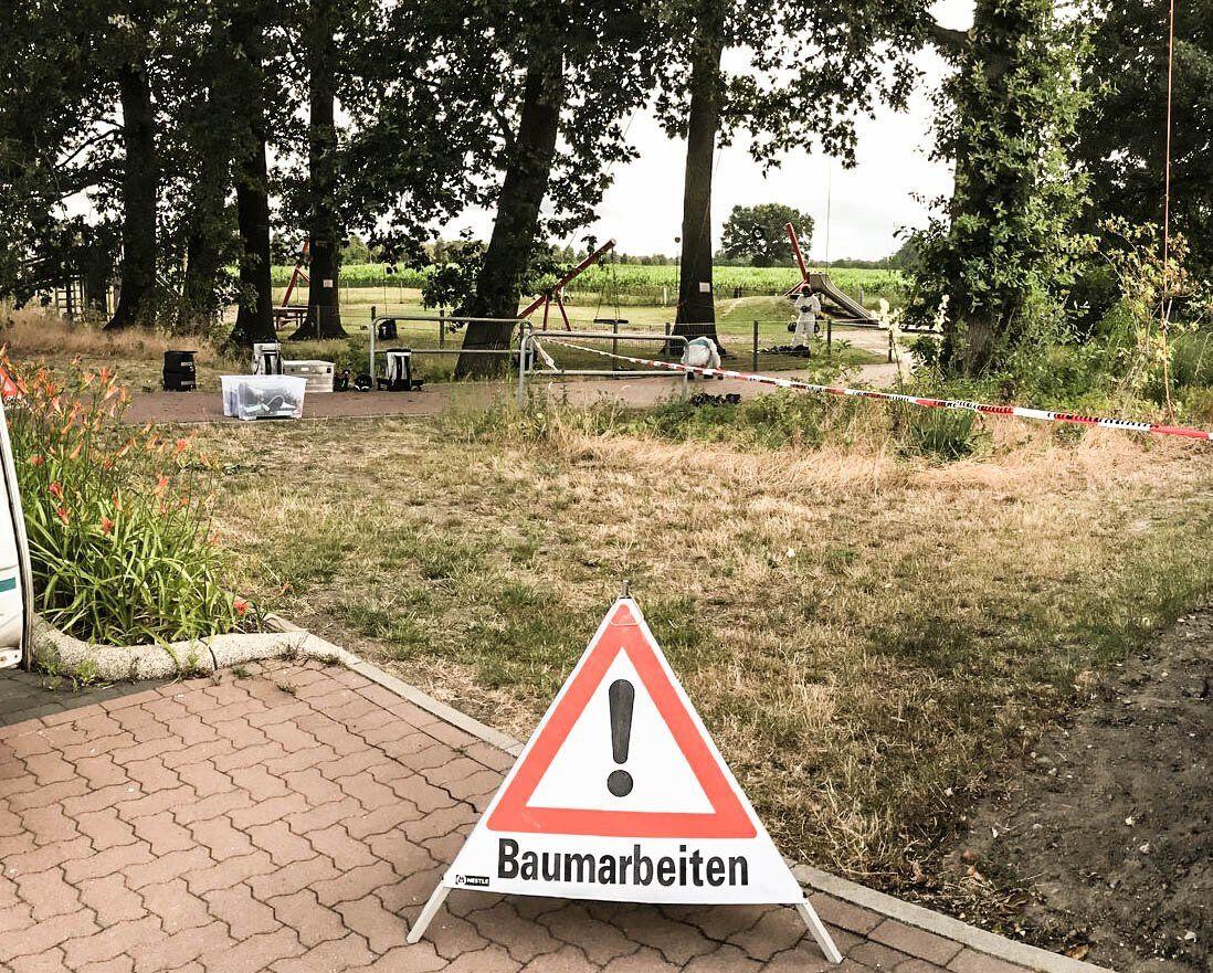Gefällter Stamm mit Wurzelteller
