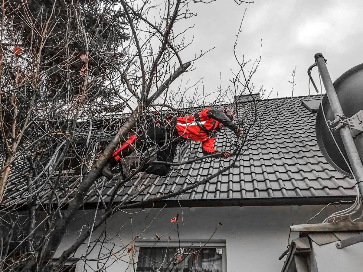 Holzaufarbeitung vor Ort