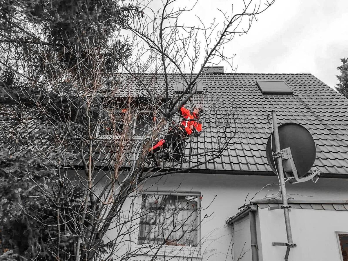 Detailarbeit in der Krone